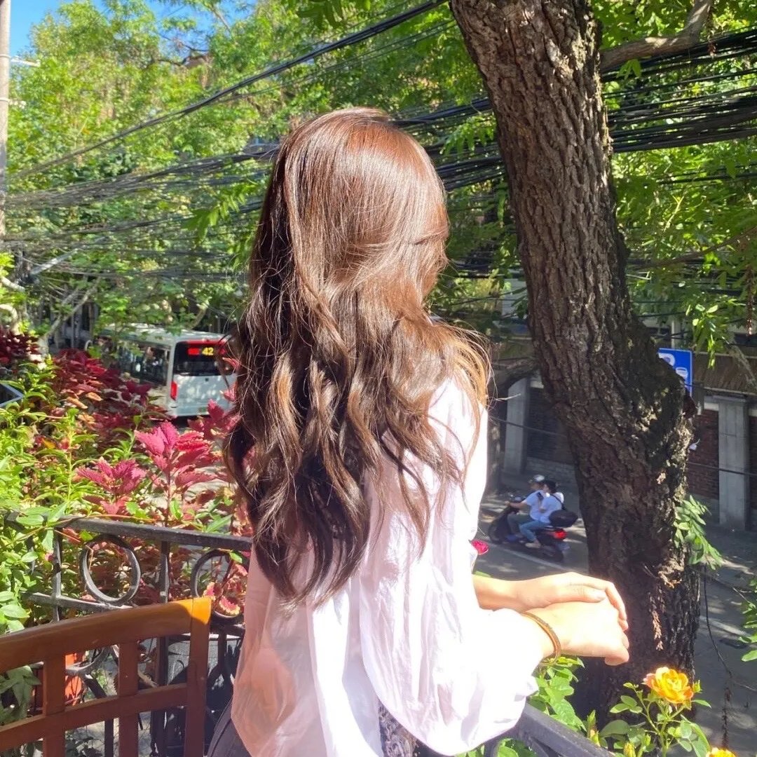 画鸡