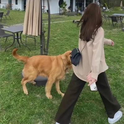 病中艳福